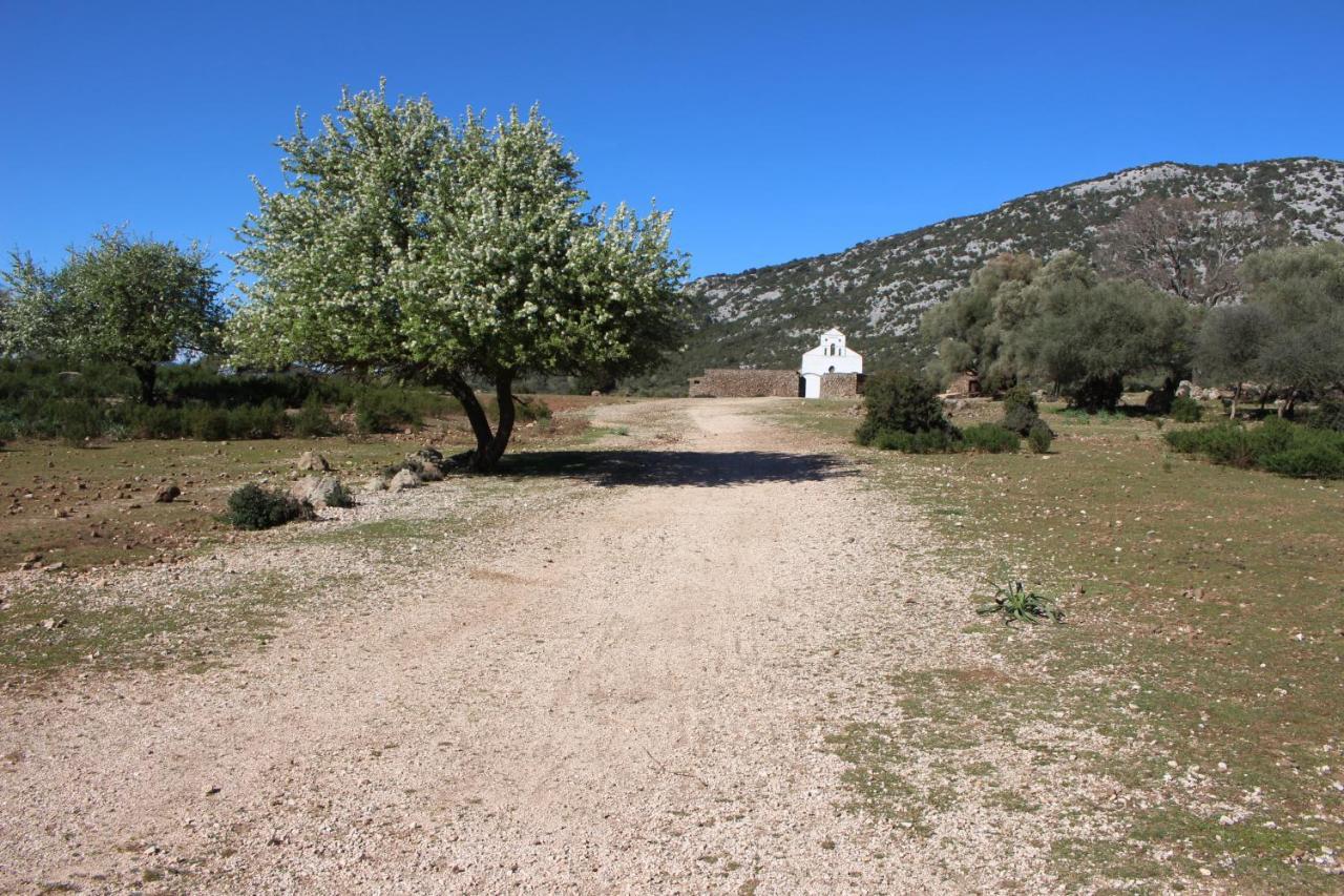B&B Issicoro Бауней Экстерьер фото